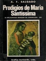 Prodígios de Maria Santíssima: a milagrosa imagem da Aparecida - SP, com biografia do Papa João Paulo II