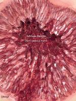 Adriana Varejão: entre carnes e mares