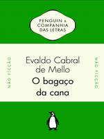 O bagaço da cana